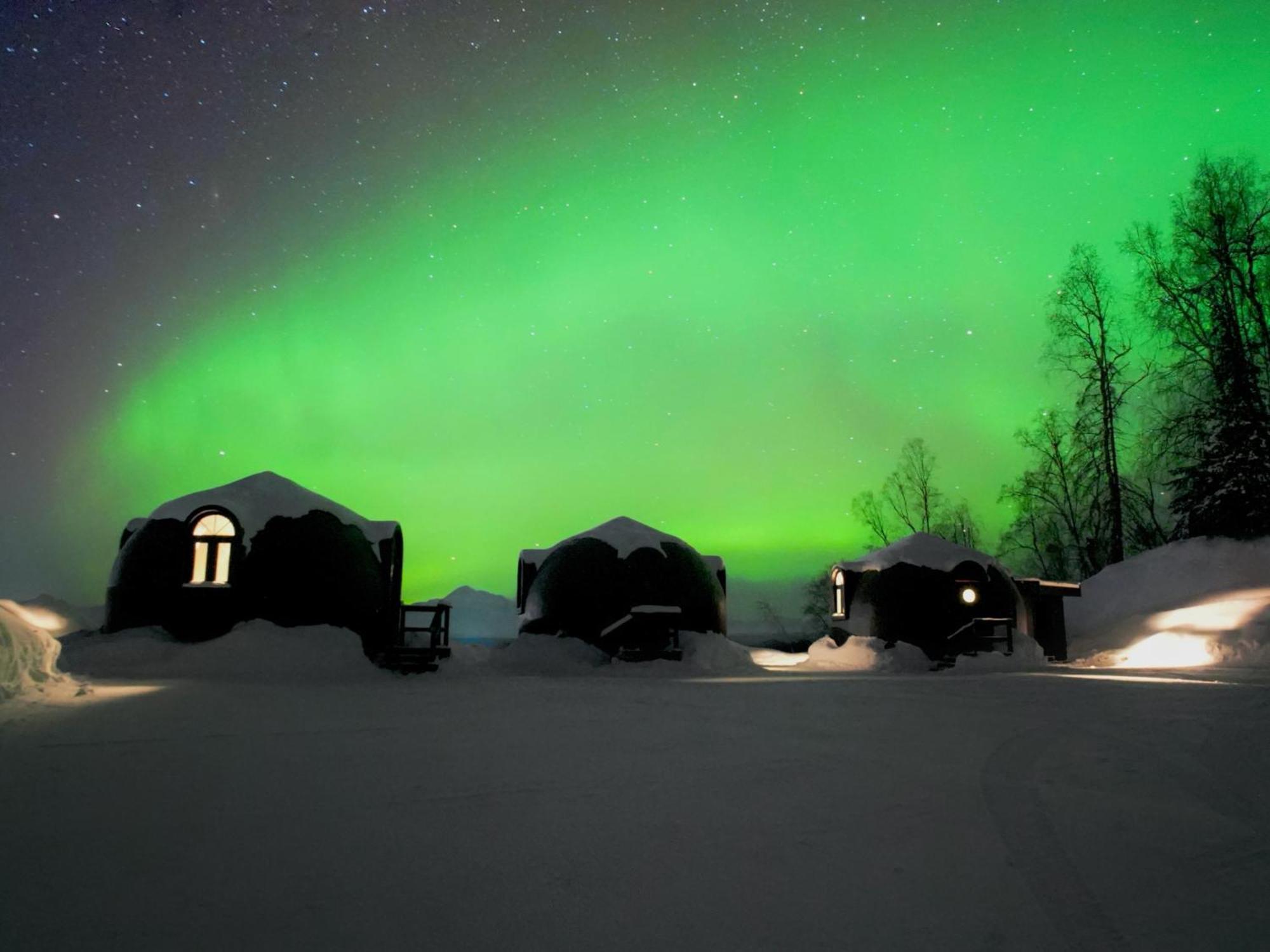 Talkeetna Aerie Adventure Lodge מראה חיצוני תמונה