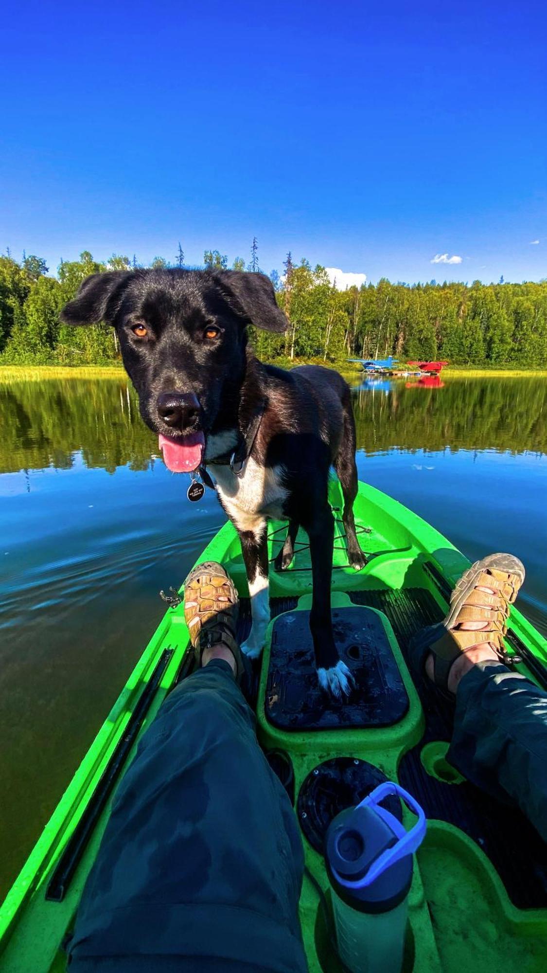 Talkeetna Aerie Adventure Lodge מראה חיצוני תמונה